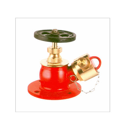 detail-product
